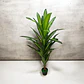Planta Artificial Decorativa Grande Realista Para Hogar G - Miniatura 2