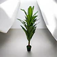 Planta Artificial Decorativa Grande Realista Para Hogar G - Miniatura 6