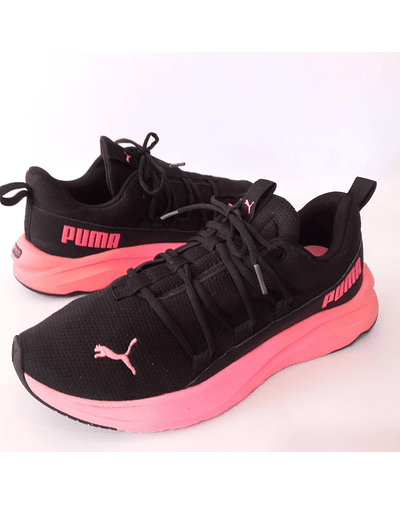 Puma , 40