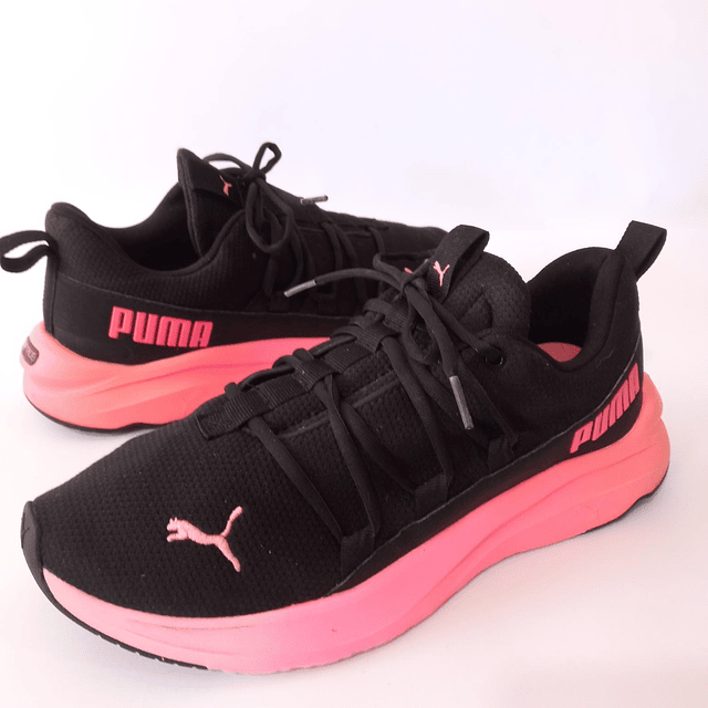 Puma , 40 1