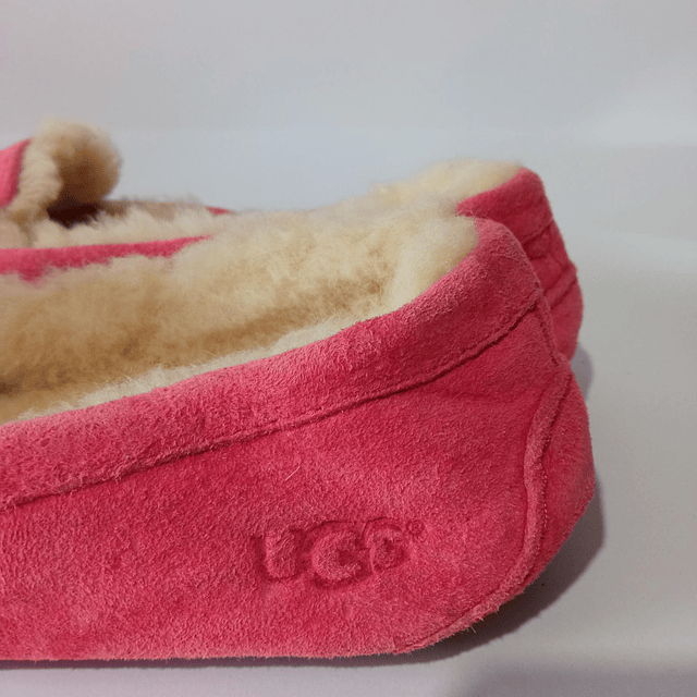 UGG Ascot , 40 5