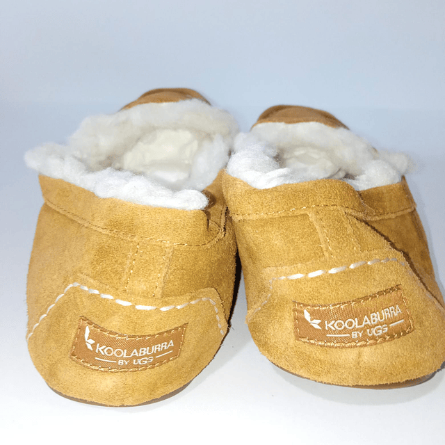 Koolaburra , reno , 41 2