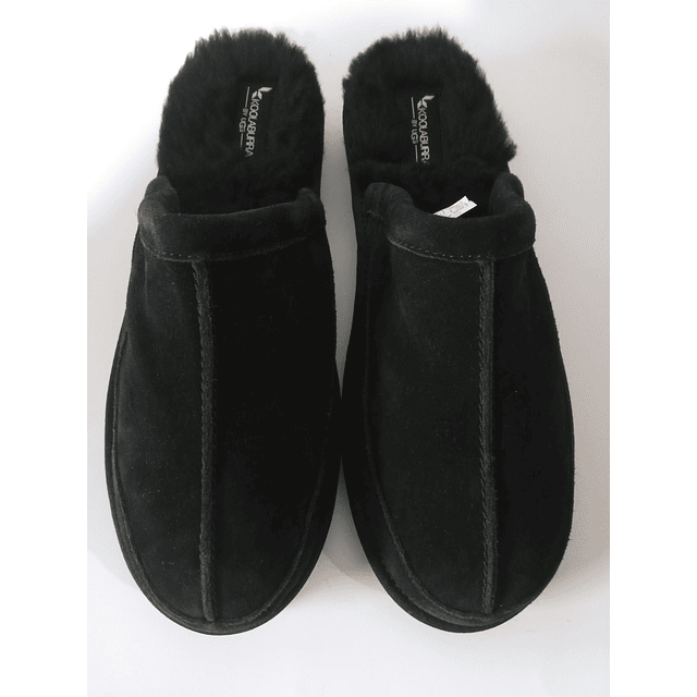 Koolaburra , reno , 42 3