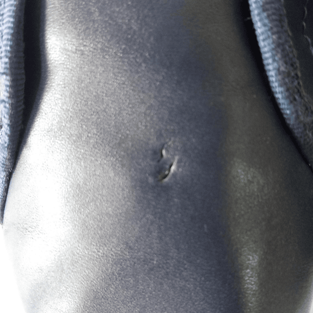 Lacoste , cuero , 36 5