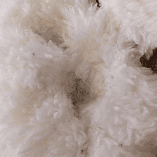 No Boundaries , 37-38 2