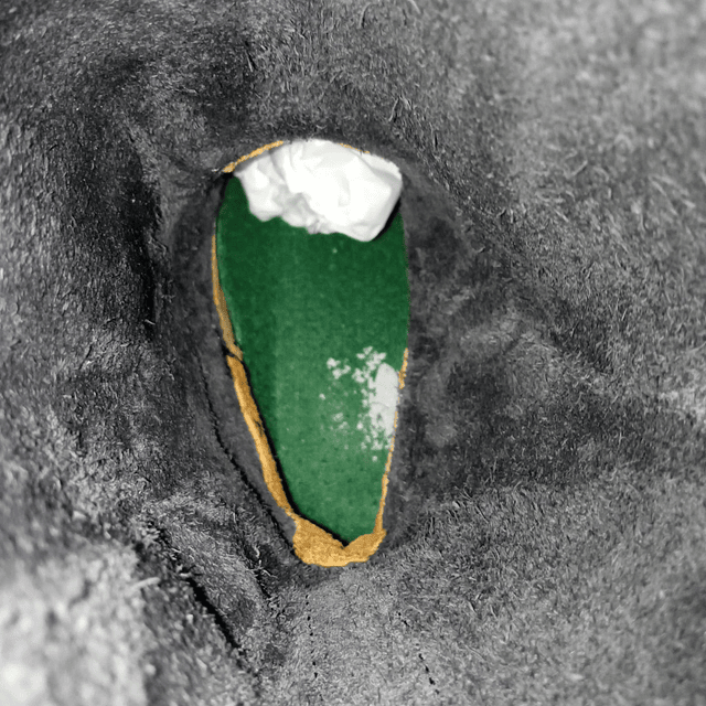 Roots , cuero , 35 6