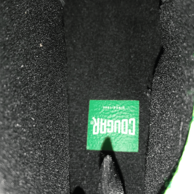 Cougar , cuero , 40 4