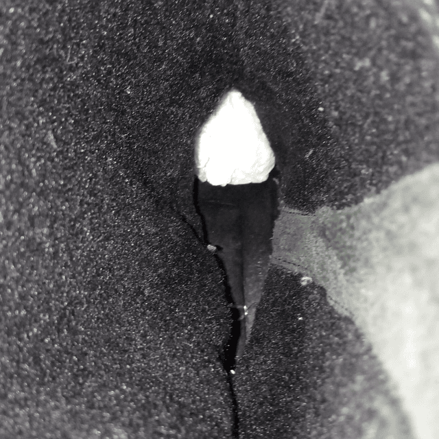 Clarks , cuero , 38,5 7