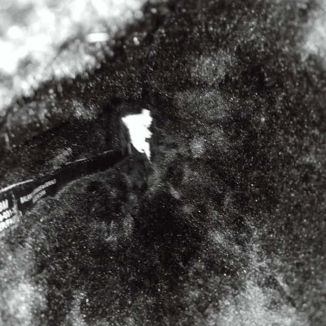 Bare Traps , reno , 38 9