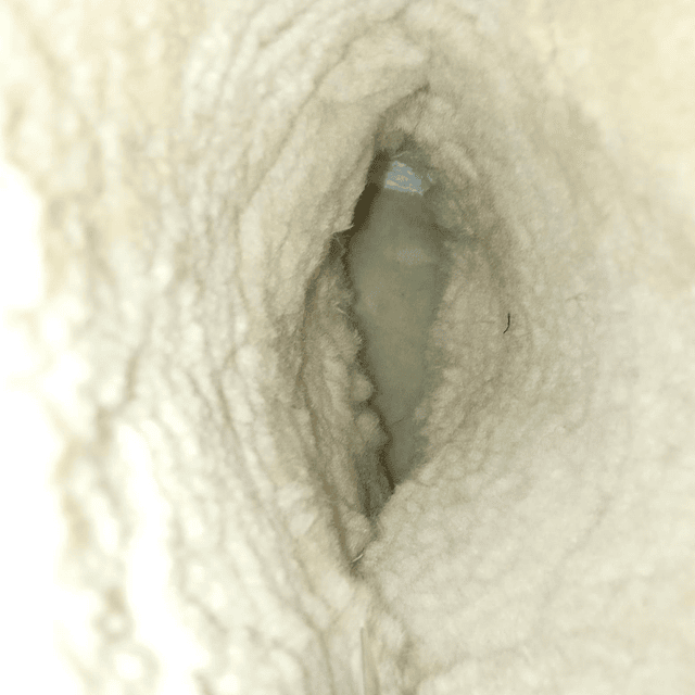 Merrell , reno , 39 7