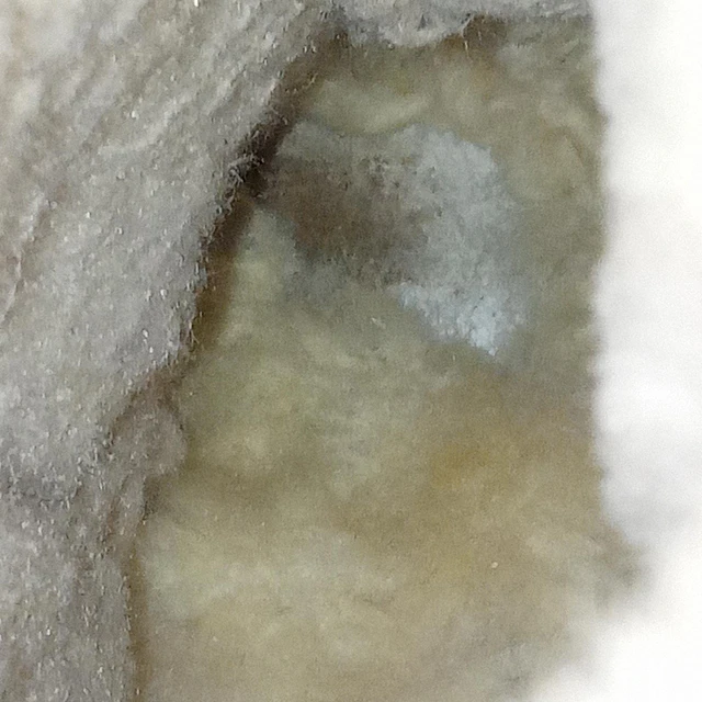 Minnetonka , reno , 38 6