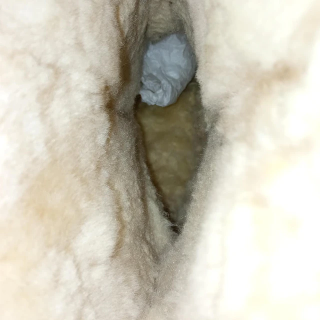 Minnetonka , reno , 38 7