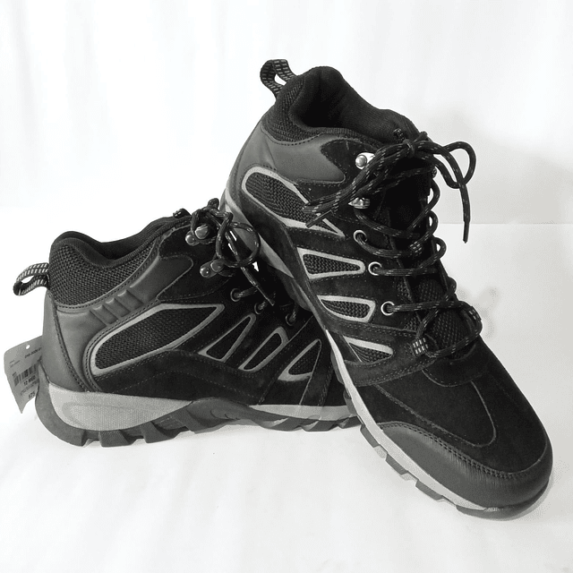 St Johns Bay , reno , 44 5