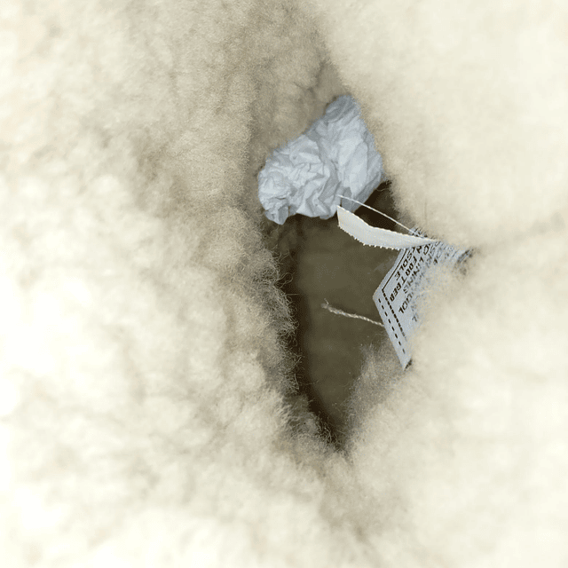 Bearpaw , reno , 35 6