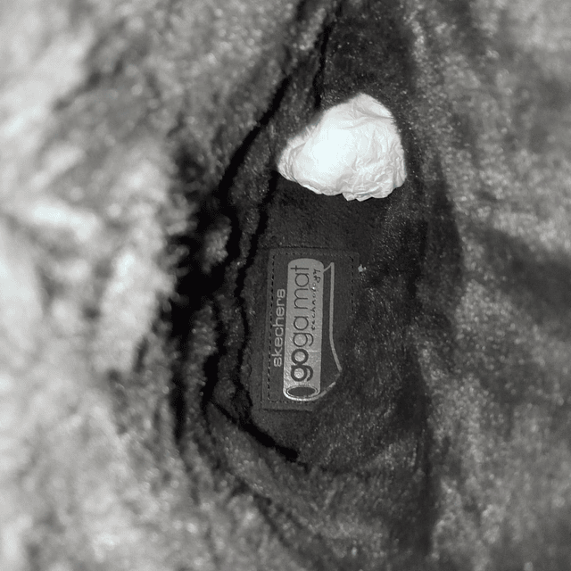 Skechers , reno , 36,5 7