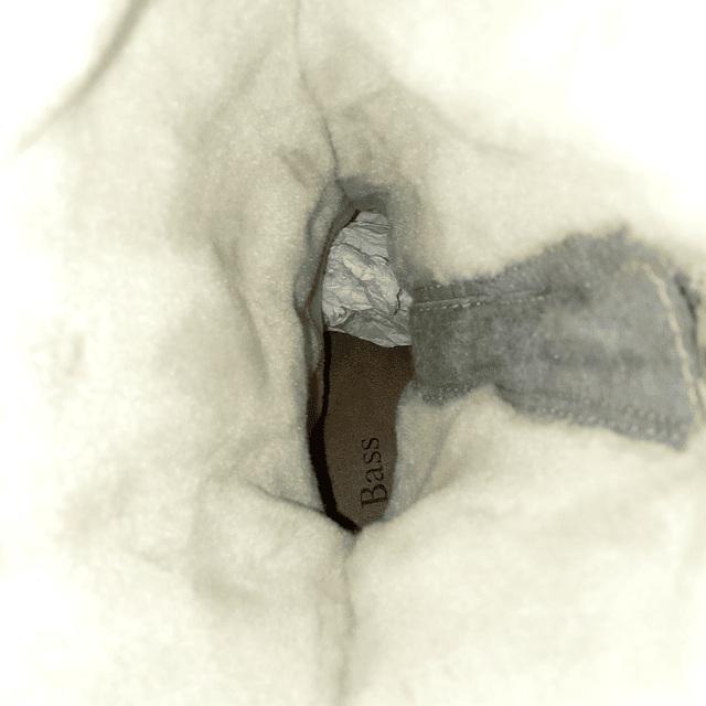 Bass , reno , 38,5 5