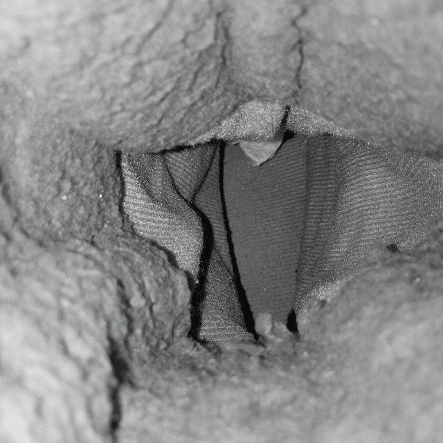 Timberland , reno, 37 6