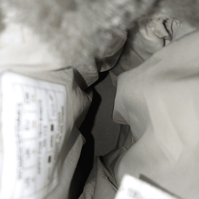 The North Face , 38 6