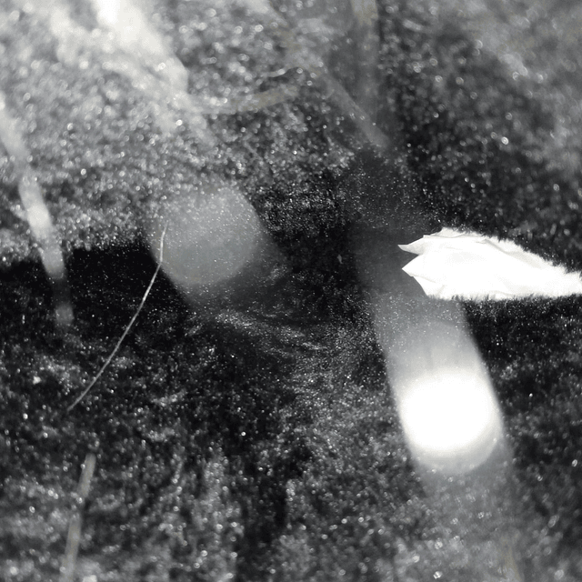 Botas con chiporro , 35 3