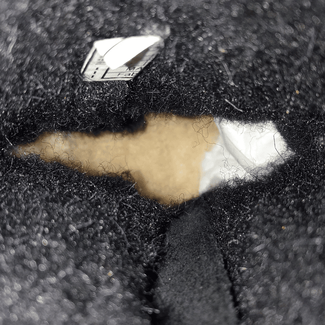 Bearpaw , reno , 26 5