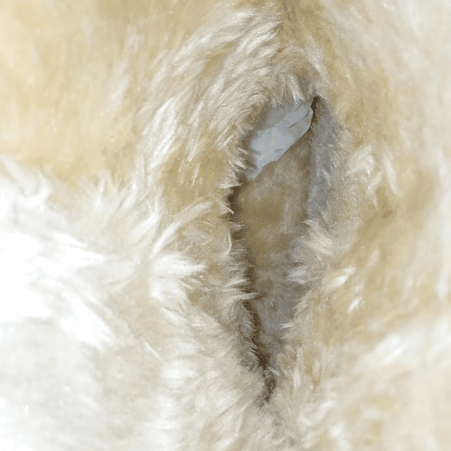 Time and True , reno , 37 6