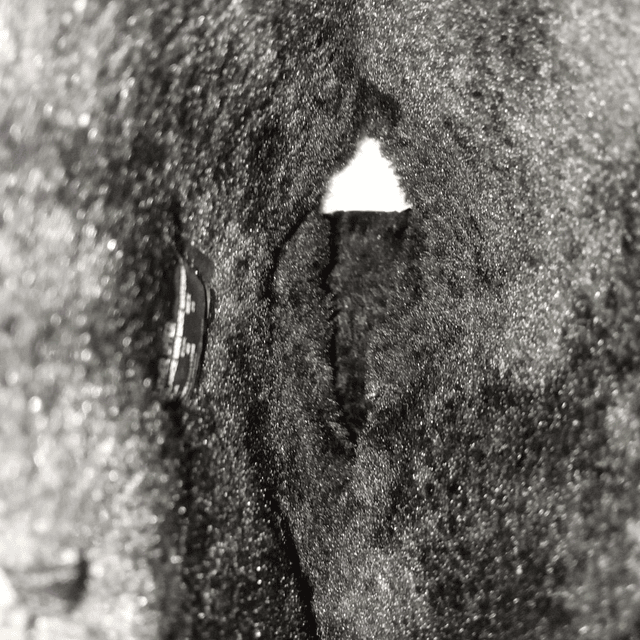 Route 66 , reno ,38 5