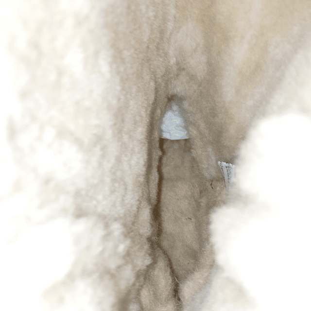 Guidegear , reno , 40 5