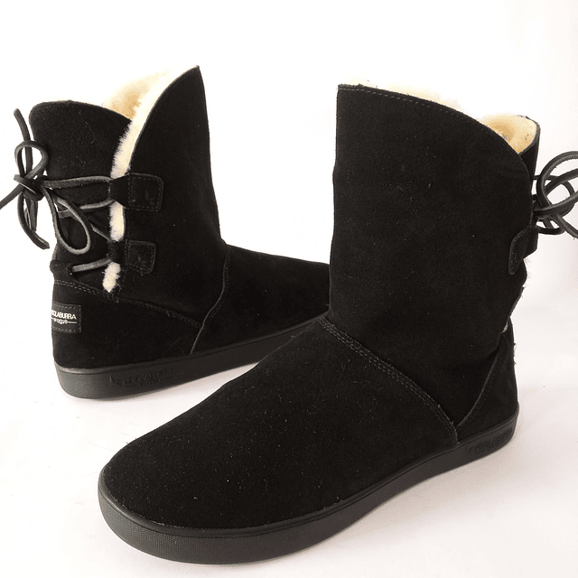 Koolaburra , reno , 38 1