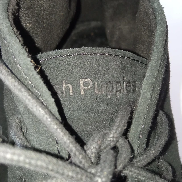 Hush Puppies , reno , 38 5