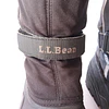 LL Bean , 36 5
