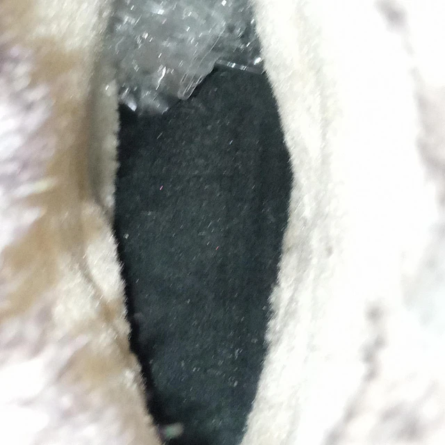 Bass  , reno ,37,5 7