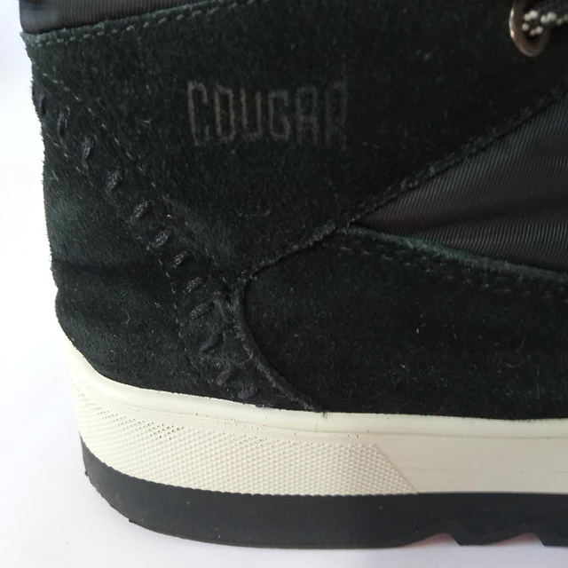 Cougar , reno , 40 3