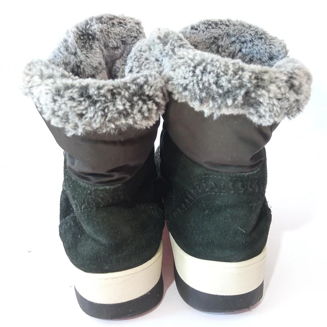 Cougar , reno , 40 4