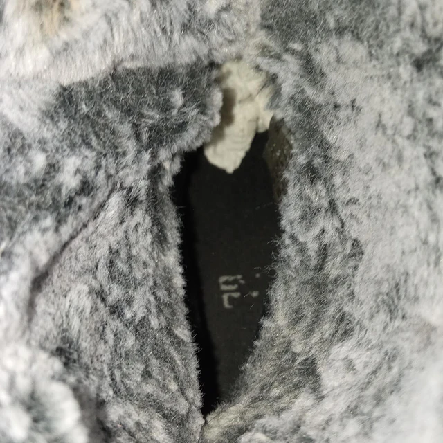 Cougar , reno , 40 6