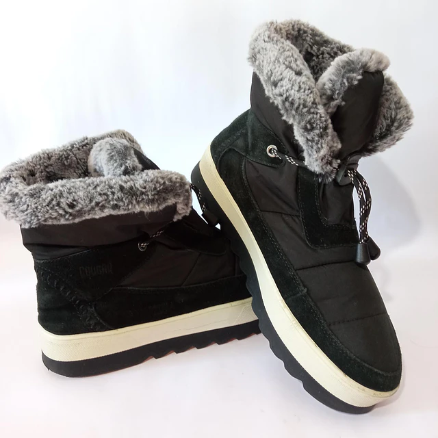 Cougar , reno , 40 8