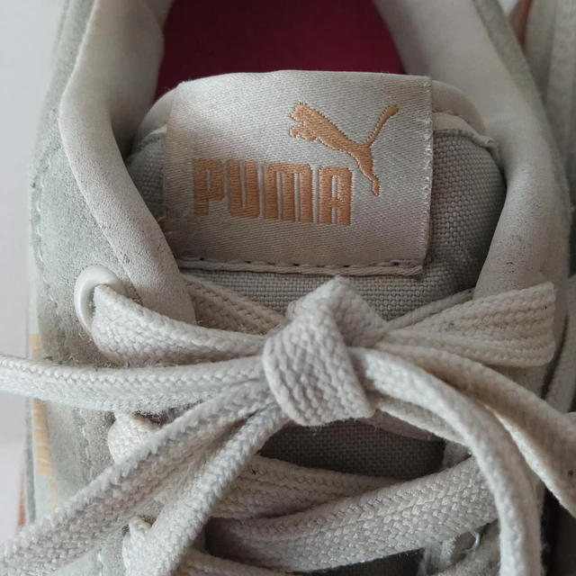 Puma , reno , 37 6