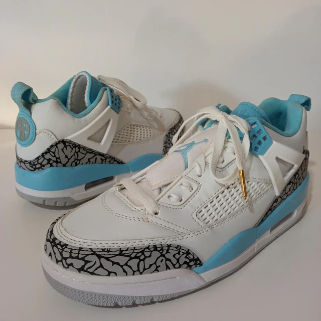 JordanSpizike Low , 25 cm 1