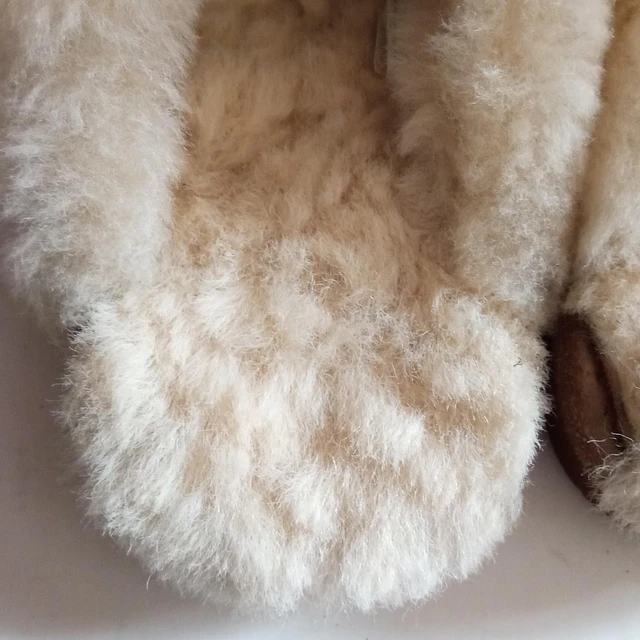 Bearpaw , reno ,39 5