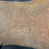Clarks , reno ,37 6