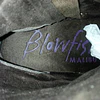 Blowfish , 40 4