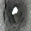 Cougar , cuero,  36 7