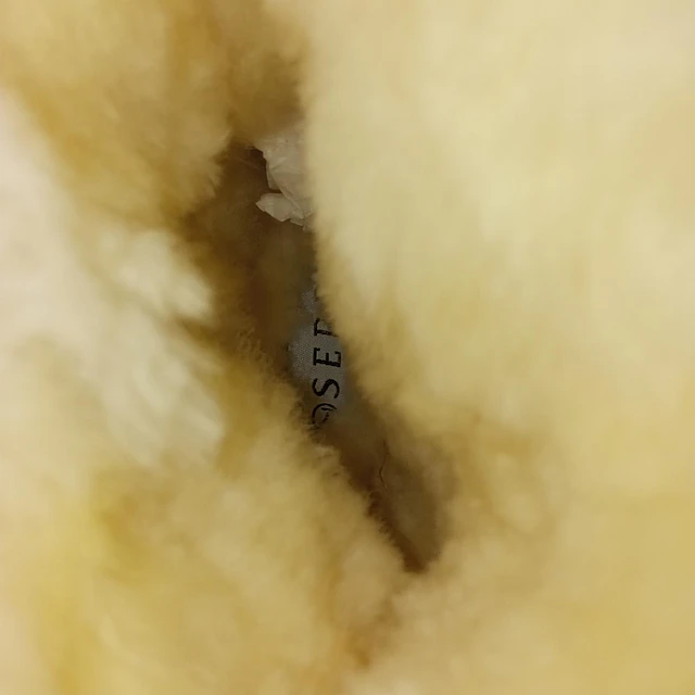Serra , reno , 37 5