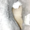 UGG Classic Mini Logo , 35 6