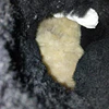 UGG Classic Mini , 37 6