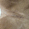 UGG Florence , 40 4