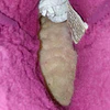 UGG Kristin , 37,5 7