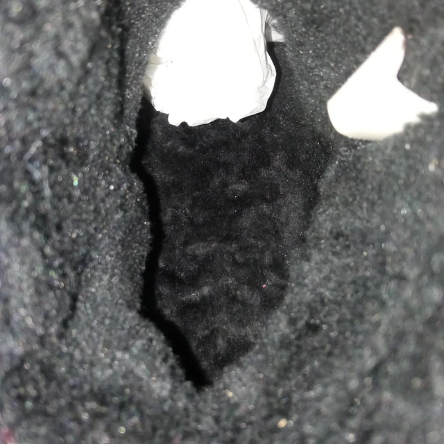 Minnetonka , reno ,38 6