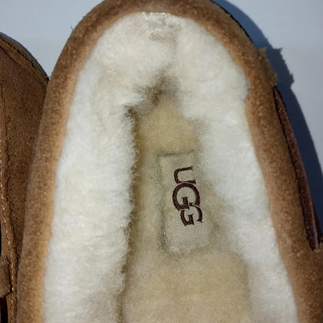 UGG Dakota , 38 3