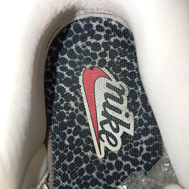 Nike Dunk Low Se 