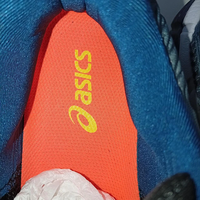 Asics Gel Quantum 360 , 27,5 cm 5